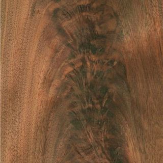 黑胡桃树杈 Black Walnut Crotch